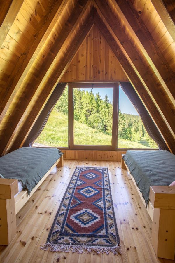 Chamois Apartments Durmitor Žabljak エクステリア 写真